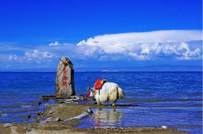 ​来青海旅游，必须收藏的经典路线