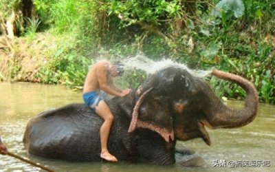 笑岔气的搞笑图片:老板就是老板,接的水都比我接的好喝